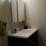 Bathroom vanity and mirror medicine cabinet